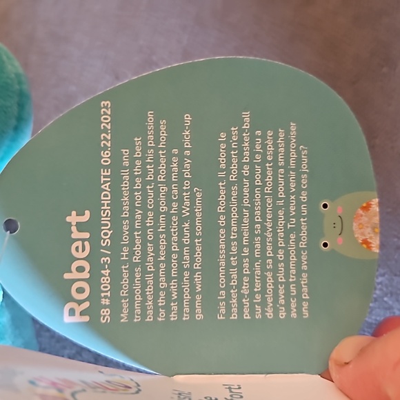 1/$6 or 2/$10 NWT Squishmallow Robert The Frog With Floral Belly. (8 in.) - Picture 8 of 12